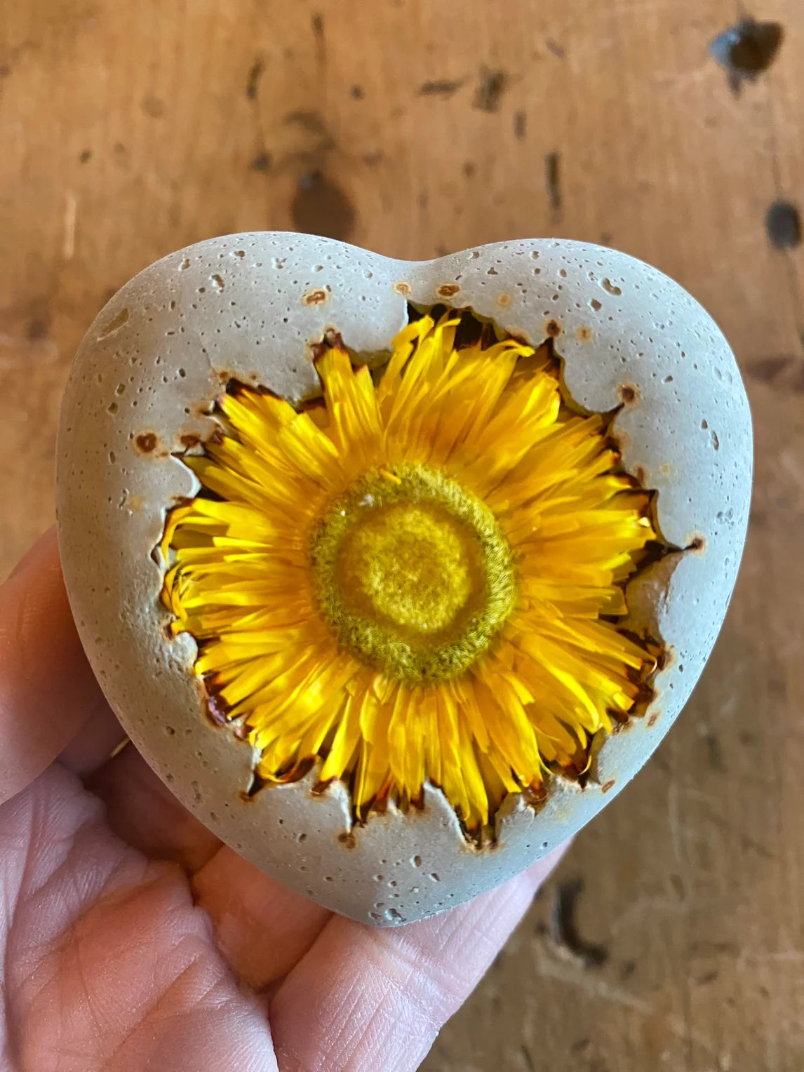 Concrete Dried Flower Heart Rocks