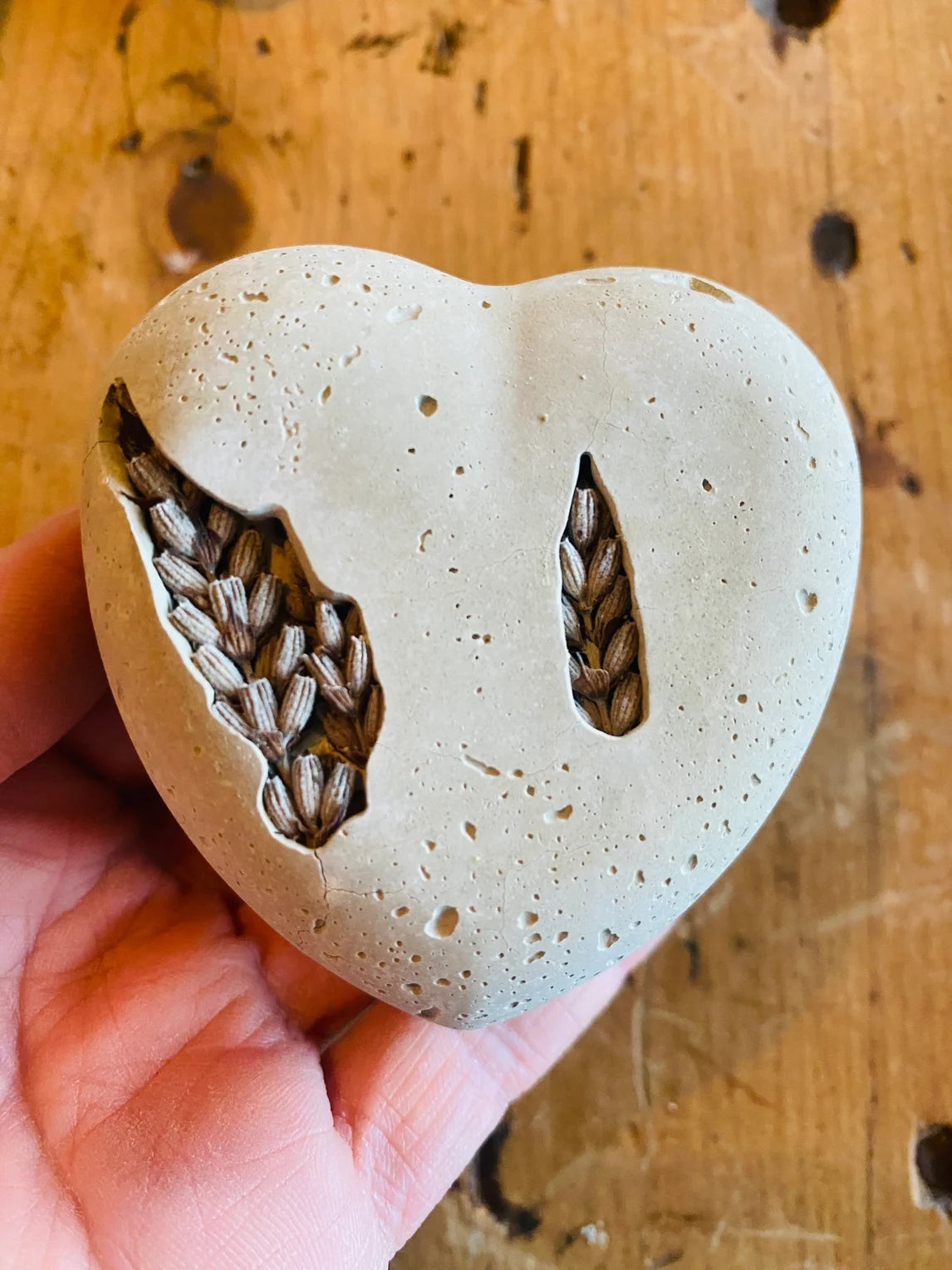 Concrete Dried Flower Heart Rocks
