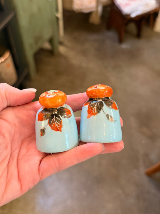 Vintage Hand Painted Salt & Pepper Shakers